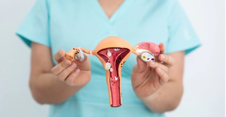 What Is a Urogynecologist?